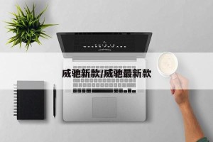 威驰新款/威驰最新款