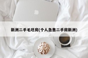 新洲二手毛坯房(个人急售二手房新洲)