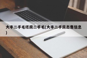 大丰二手毛坯房二手毛(大丰二手房出售信息)