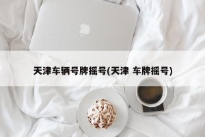 天津车辆号牌摇号(天津 车牌摇号)
