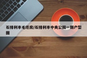 石排利丰毛坯房/石排利丰中央公园一期户型图