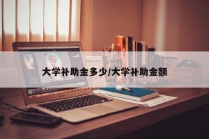 大学补助金多少/大学补助金额