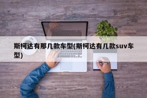 斯柯达有那几款车型(斯柯达有几款suv车型)