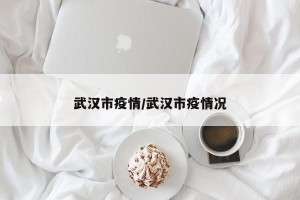 武汉市疫情/武汉市疫情况