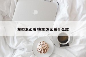 车型怎么看/车型怎么看什么款