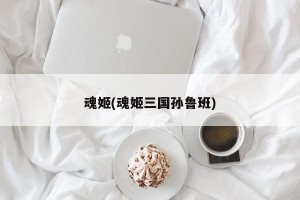 魂姬(魂姬三国孙鲁班)