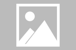 江南大学入选院士/江南大学知名教授