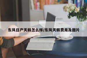 东风日产天籁怎么样/东风天籁费用及图片