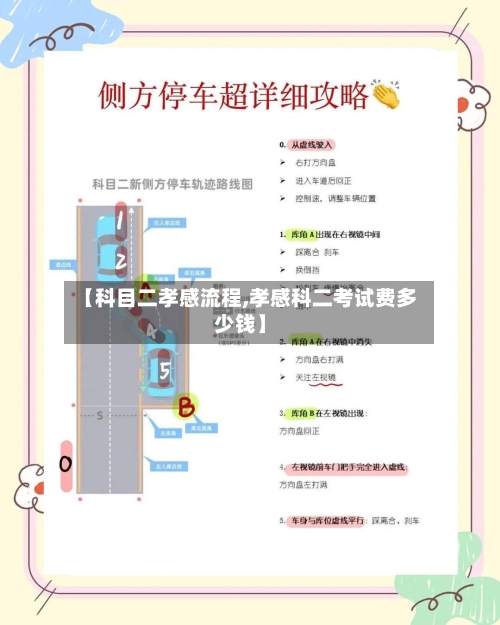 【科目二孝感流程,孝感科二考试费多少钱】