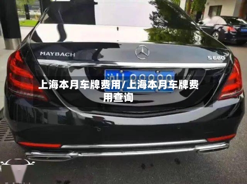 上海本月车牌费用/上海本月车牌费用查询-第3张图片