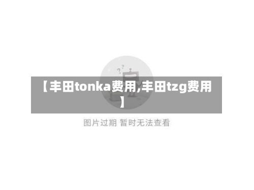 【丰田tonka费用,丰田tzg费用】
