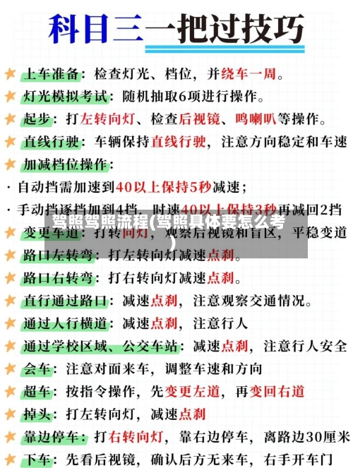 驾照驾照流程(驾照具体要怎么考)