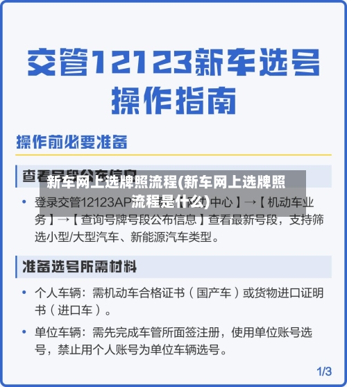 新车网上选牌照流程(新车网上选牌照流程是什么)-第2张图片