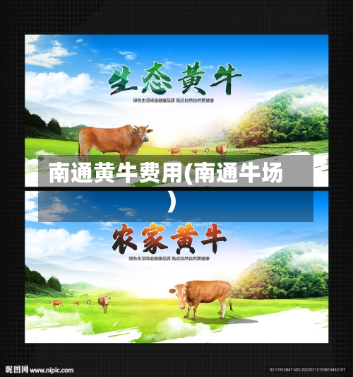 南通黄牛费用(南通牛场)