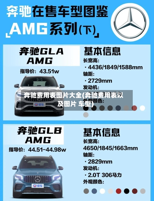 奔驰费用表图片大全(奔驰费用表以及图片 车型)