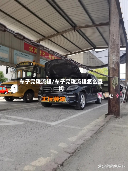 车子完税流程/车子完税流程怎么查询
