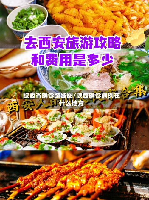 陕西省确诊路线图/陕西确诊病例在什么地方