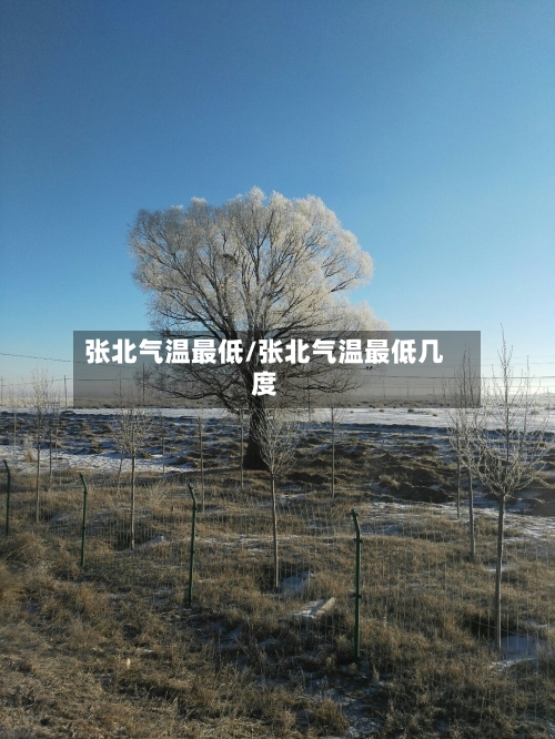 张北气温最低/张北气温最低几度