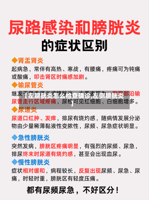 【左膀胱炎怎么检查确诊,左侧膀胱炎】-第2张图片