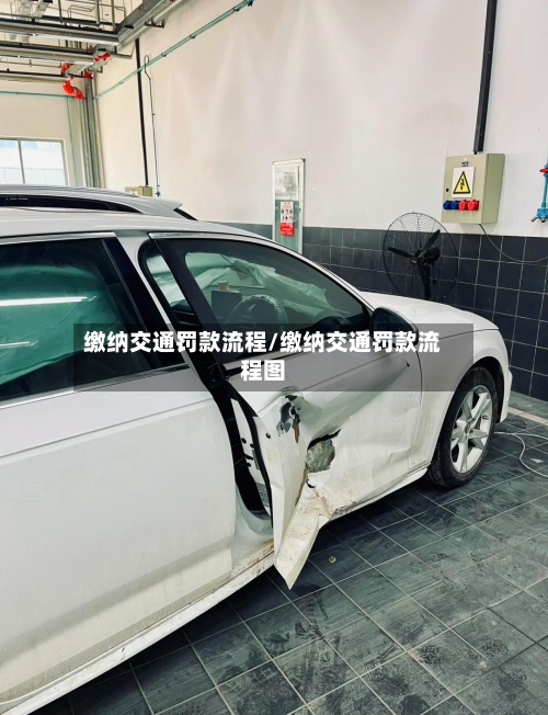 缴纳交通罚款流程/缴纳交通罚款流程图-第2张图片