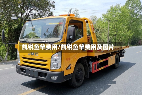 凯锐鱼竿费用/凯锐鱼竿费用及图片
