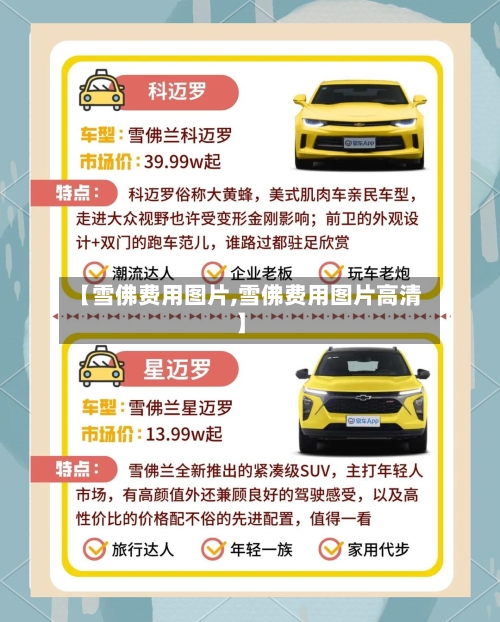 【雪佛费用图片,雪佛费用图片高清】-第2张图片