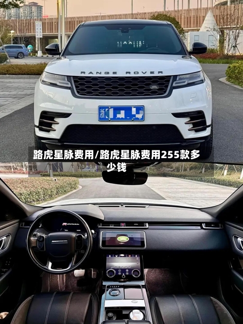 路虎星脉费用/路虎星脉费用255款多少钱-第2张图片