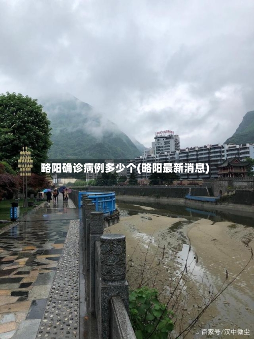 略阳确诊病例多少个(略阳最新消息)-第2张图片