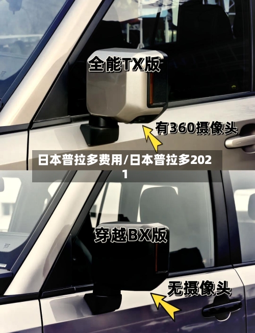 日本普拉多费用/日本普拉多2021