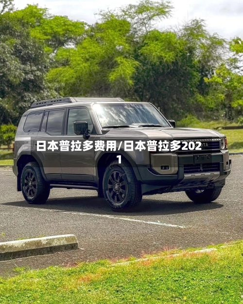 日本普拉多费用/日本普拉多2021-第2张图片