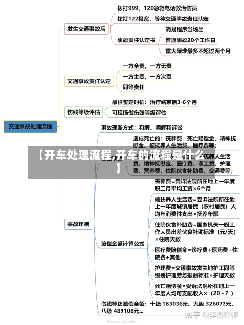 【开车处理流程,开车的流程是什么】