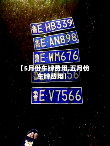 【5月份车牌费用,五月份车牌费用】-第2张图片