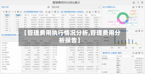 【管理费用执行情况分析,管理费用分析报告】