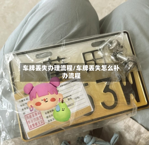 车牌丢失办理流程/车牌丢失怎么补办流程