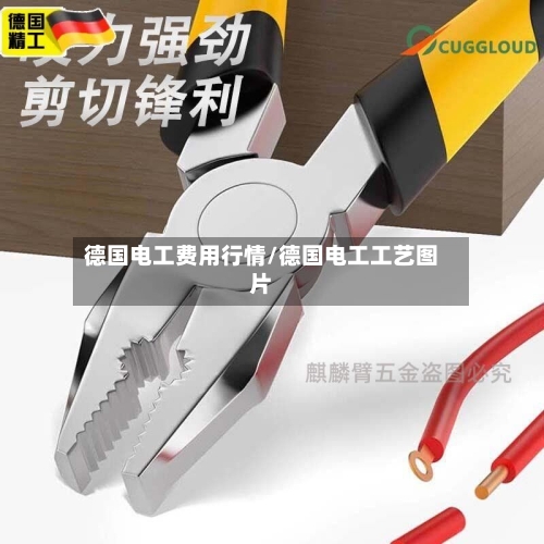 德国电工费用行情/德国电工工艺图片