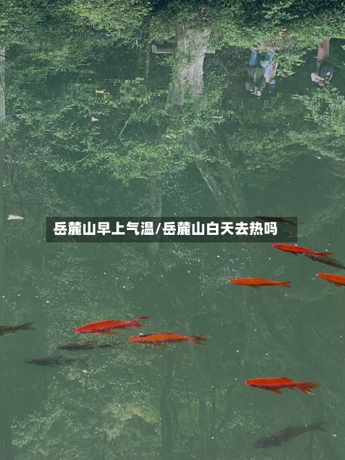 岳麓山早上气温/岳麓山白天去热吗-第3张图片
