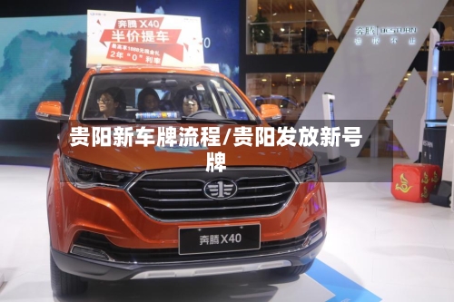 贵阳新车牌流程/贵阳发放新号牌-第2张图片