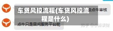 车贷风控流程(车贷风控流程是什么)