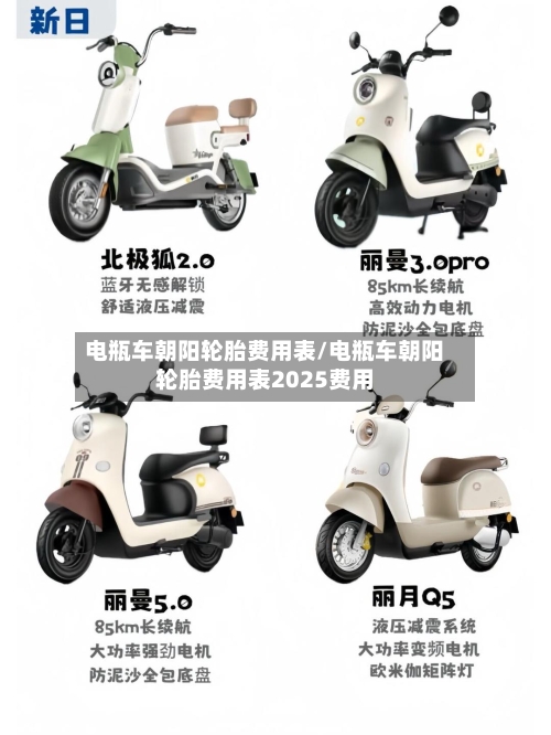 电瓶车朝阳轮胎费用表/电瓶车朝阳轮胎费用表2025费用-第3张图片