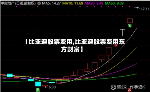【比亚迪股票费用,比亚迪股票费用东方财富】-第3张图片