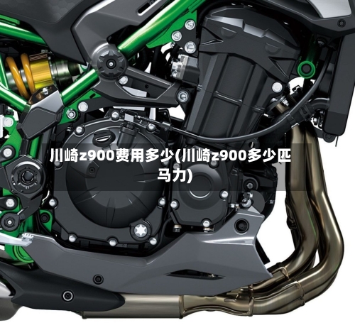 川崎z900费用多少(川崎z900多少匹马力)
