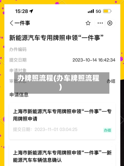 办牌照流程(办车牌照流程)