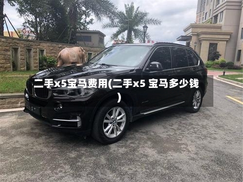 二手x5宝马费用(二手x5 宝马多少钱)-第2张图片