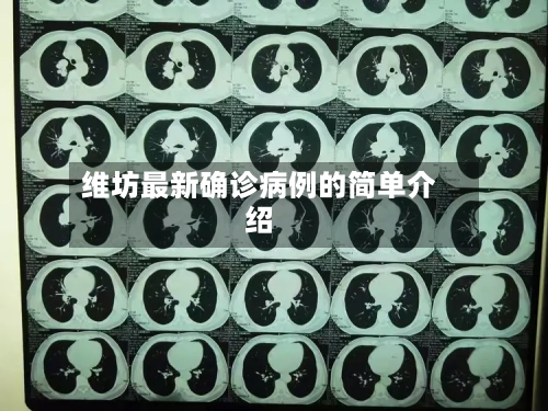 维坊最新确诊病例的简单介绍