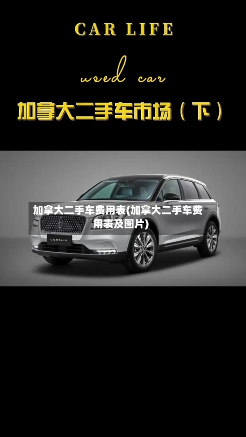 加拿大二手车费用表(加拿大二手车费用表及图片)-第3张图片