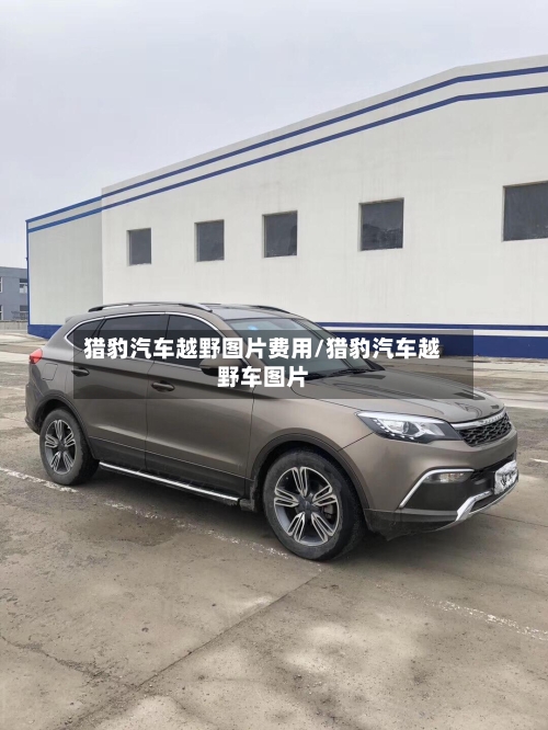 猎豹汽车越野图片费用/猎豹汽车越野车图片-第2张图片
