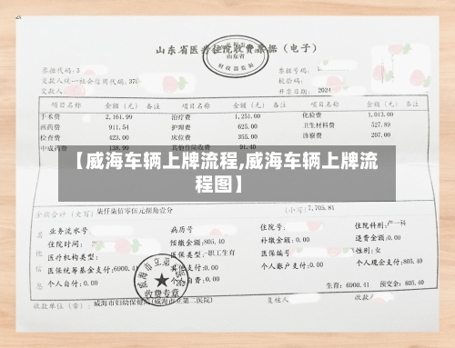 【威海车辆上牌流程,威海车辆上牌流程图】-第2张图片