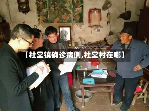 【杜堂镇确诊病例,杜堂村在哪】