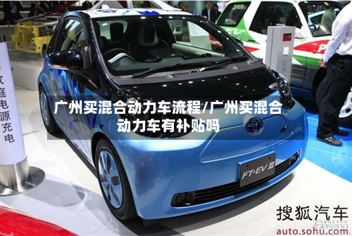 广州买混合动力车流程/广州买混合动力车有补贴吗-第3张图片