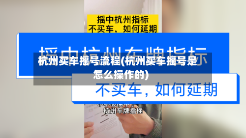 杭州买车摇号流程(杭州买车摇号是怎么操作的)